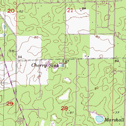 Topographic Map of Cherry Sink, FL