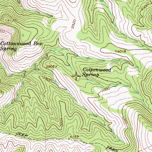 Topographic Map of Cottonwood Spring, AZ