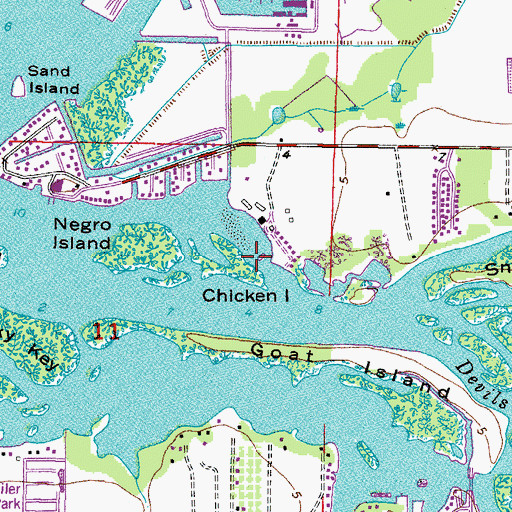 Topographic Map of Chicken Island, FL