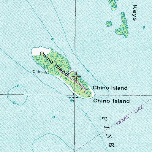 Topographic Map of Chino Island, FL