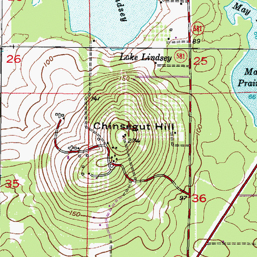 Topographic Map of Chinsegut Hill, FL