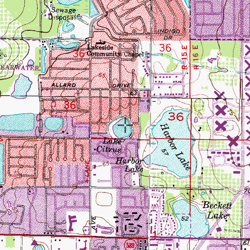 Topographic Map of Lake Citrus, FL