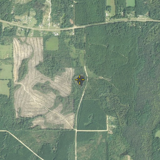 Aerial/Satellite Image of Clair Pond, FL
