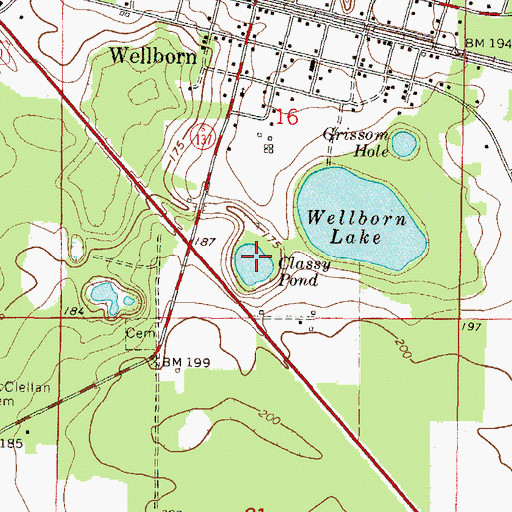 Topographic Map of Classy Pond, FL