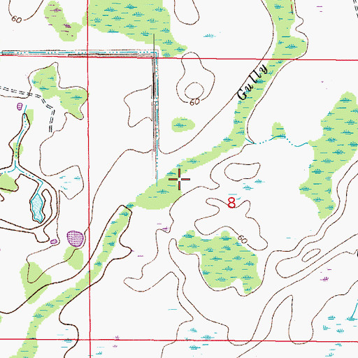 Topographic Map of Clay Gully, FL