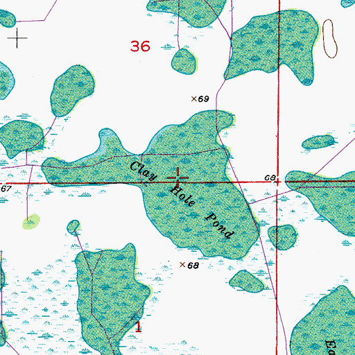 Topographic Map of Clay Hole Pond, FL