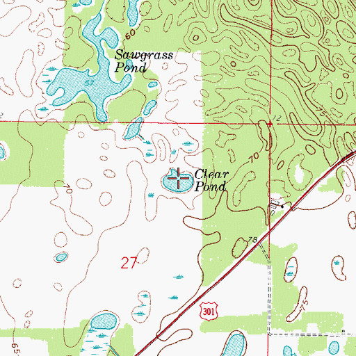 Topographic Map of Clear Pond, FL