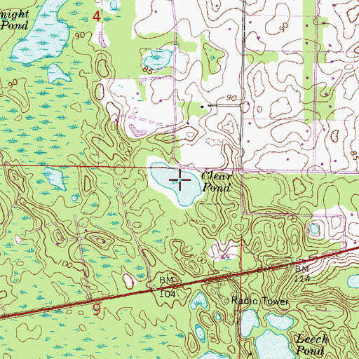 Topographic Map of Clear Pond, FL