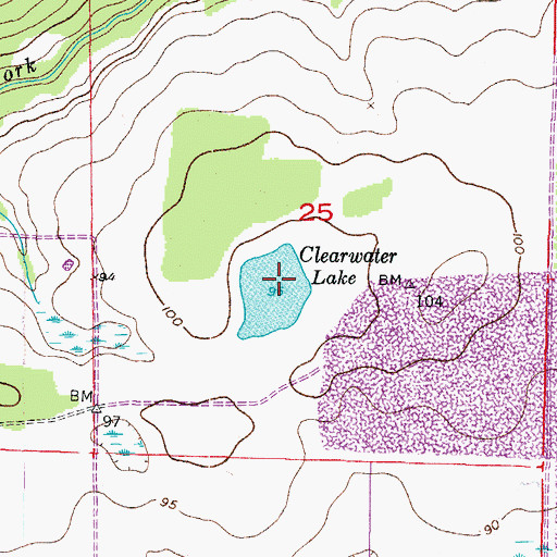 Topographic Map of Clearwater Lake, FL