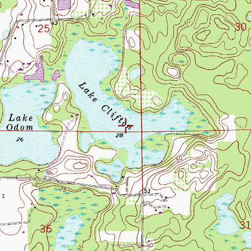 Topographic Map of Lake Clifton, FL