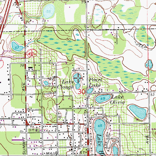 Topographic Map of Lake Clough, FL