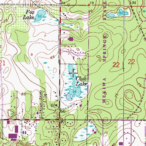 Topographic Map of Club Lake, FL