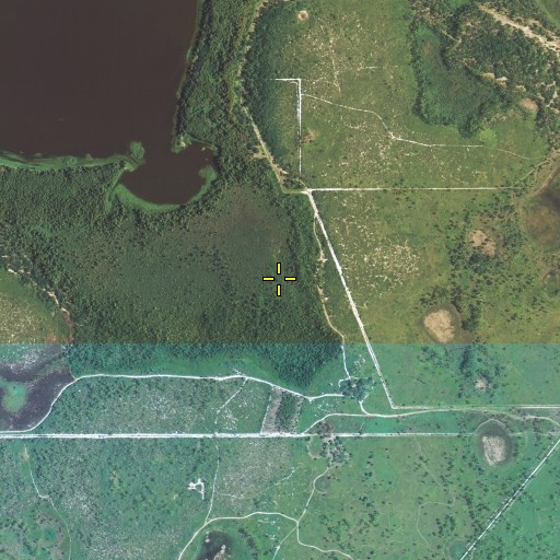 Aerial/Satellite Image of Cobb Marsh, FL