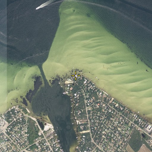Aerial/Satellite Image of Cobbs Point, FL