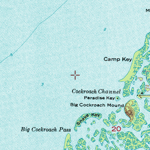 Topographic Map of Cockroach Channel, FL