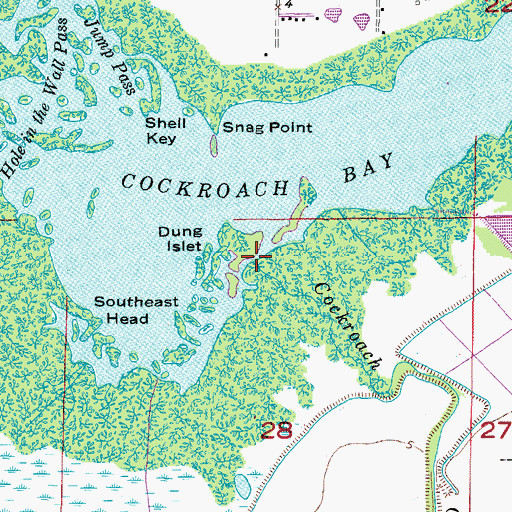Topographic Map of Cockroach Creek, FL