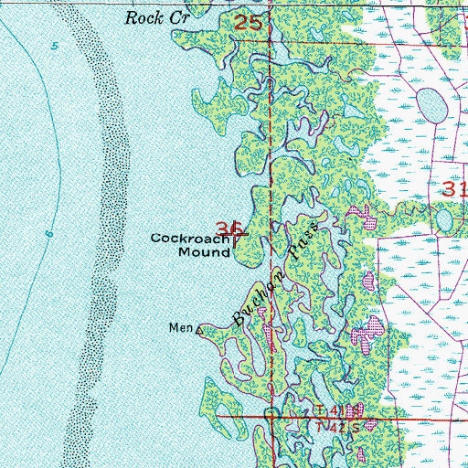 Topographic Map of Cockroach Mound, FL