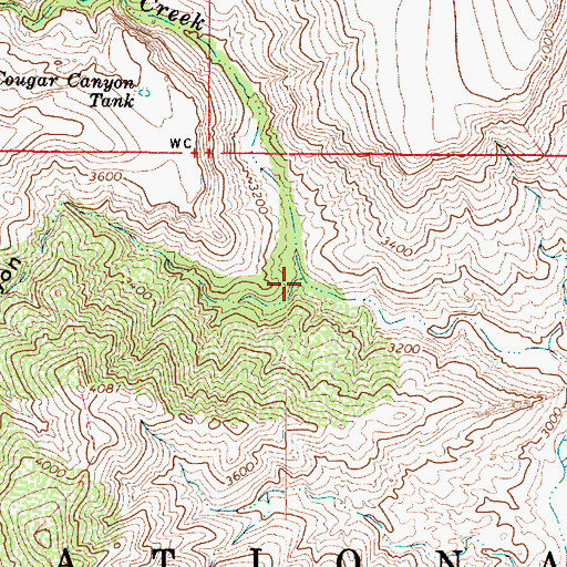 Topographic Map of Cougar Canyon, AZ