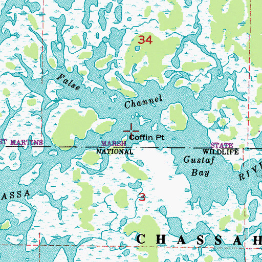 Topographic Map of Coffin Point, FL