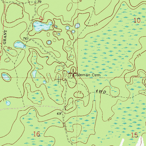 Topographic Map of Coleman Cemetery, FL