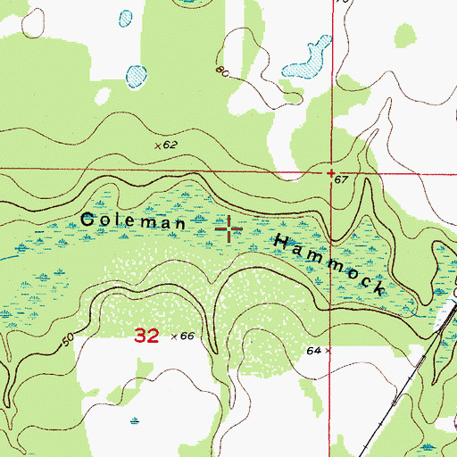 Topographic Map of Coleman Hammock, FL