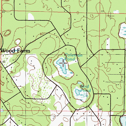Topographic Map of Coleman Pond, FL