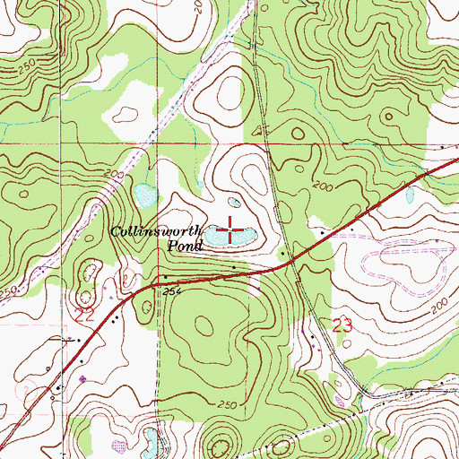Topographic Map of Collinsworth Pond, FL