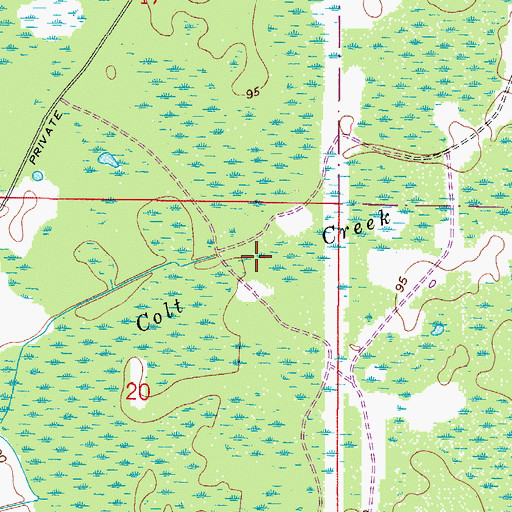 Topographic Map of Colt Creek, FL