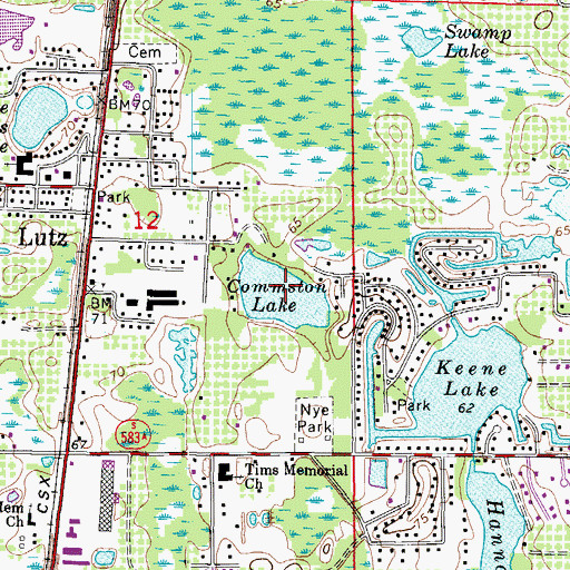 Topographic Map of Commston Lake, FL