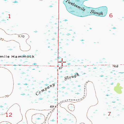 Topographic Map of Company Slough, FL