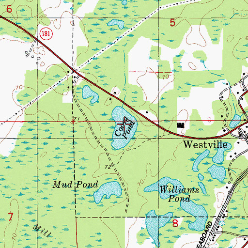 Topographic Map of Cooeg Pond, FL