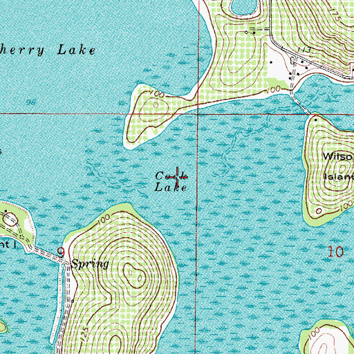 Topographic Map of Cook Lake, FL