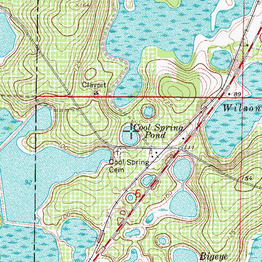 Topographic Map of Cool Spring Pond, FL