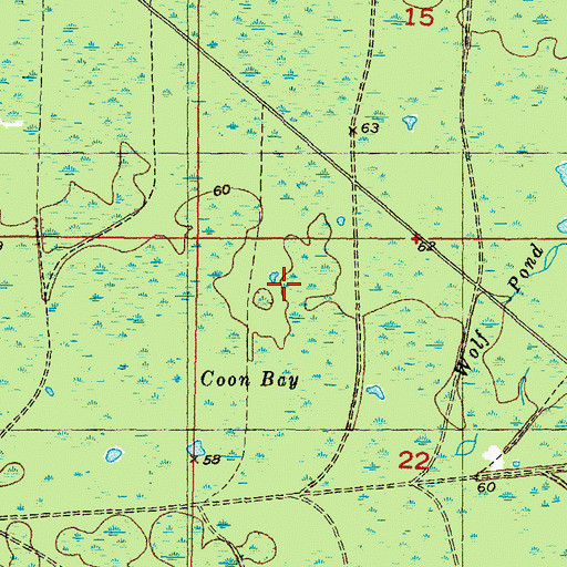 Topographic Map of Coon Bay, FL