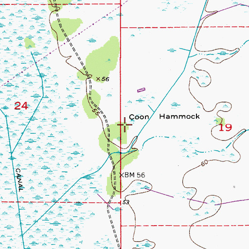 Topographic Map of Coon Hammock, FL