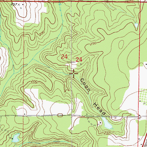 Topographic Map of Coon Head, FL