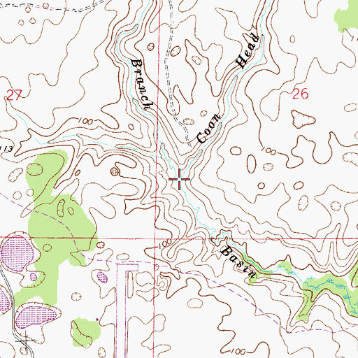 Topographic Map of Coon Head Branch, FL