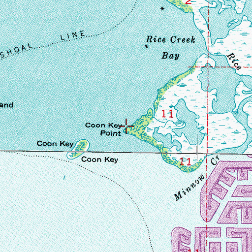 Topographic Map of Coon Key Point, FL
