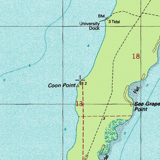 Topographic Map of Coon Point, FL