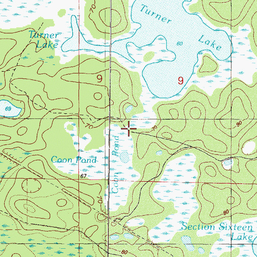 Topographic Map of Coon Pond, FL