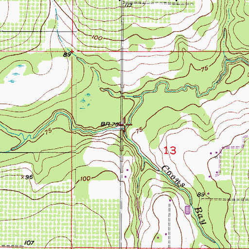 Topographic Map of Coons Bay Branch, FL