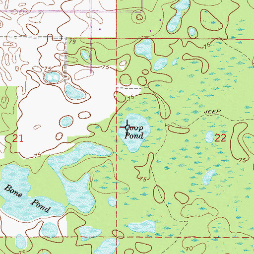 Topographic Map of Coop Pond, FL