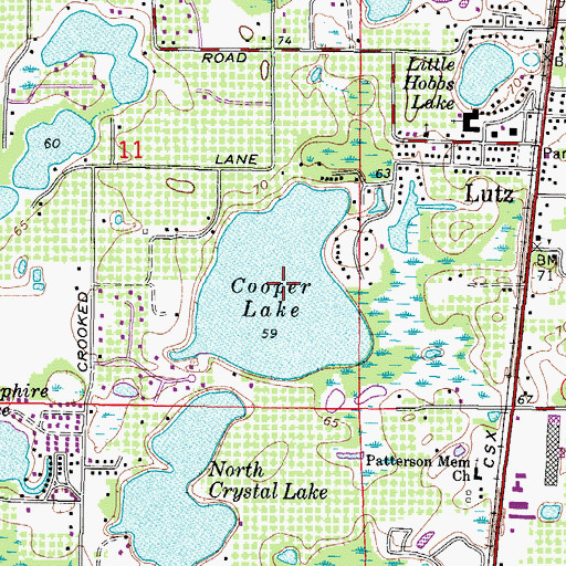 Topographic Map of Cooper Lake, FL