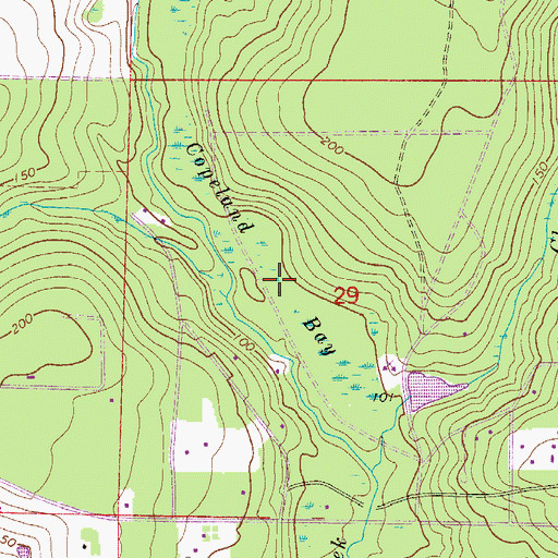 Topographic Map of Copeland Bay, FL