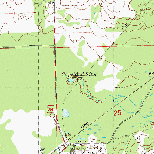 Topographic Map of Copeland Sink, FL