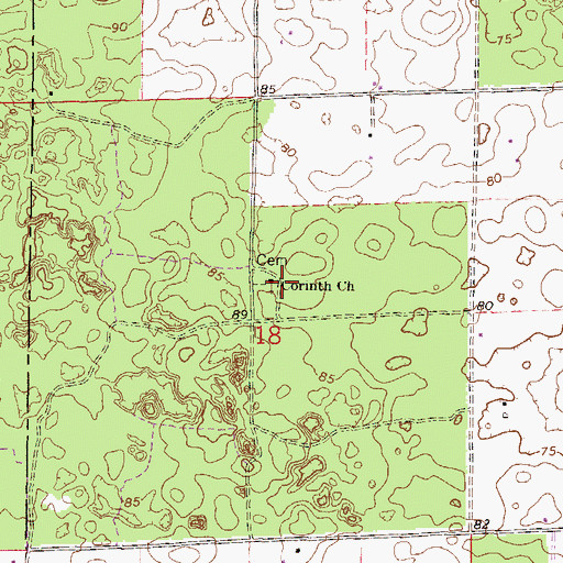 Topographic Map of Corinth Church, FL