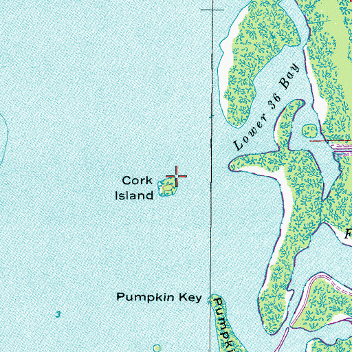 Topographic Map of Cork Island, FL
