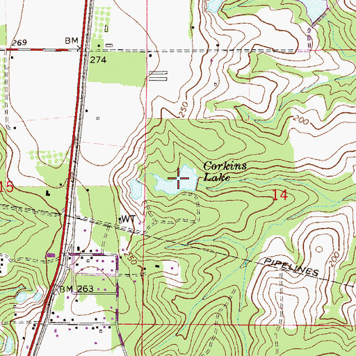 Topographic Map of Corkins Lake, FL
