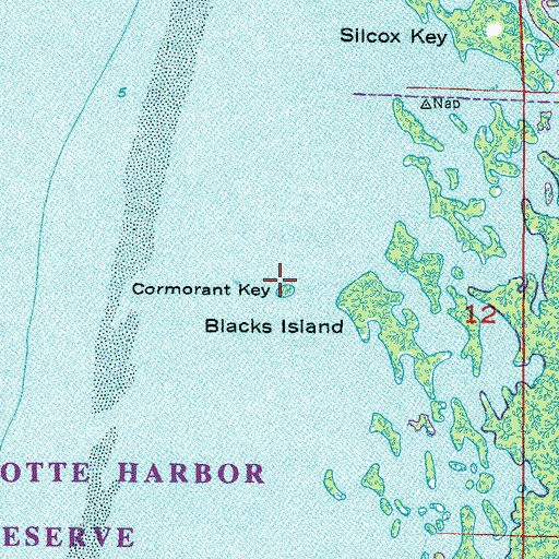 Topographic Map of Cormorant Key, FL
