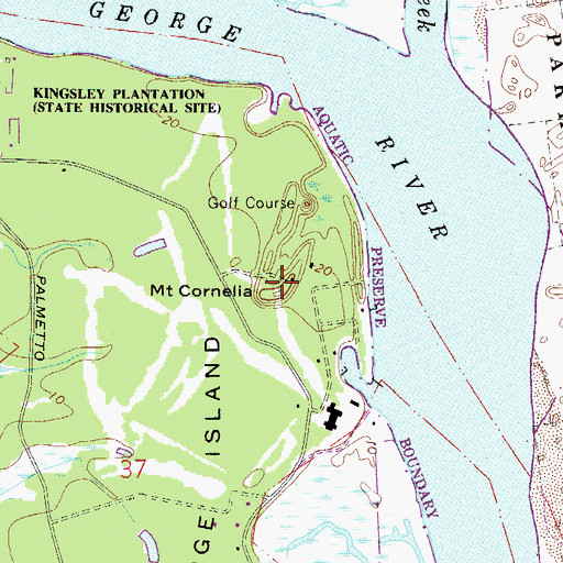 Topographic Map of Mount Cornelia, FL